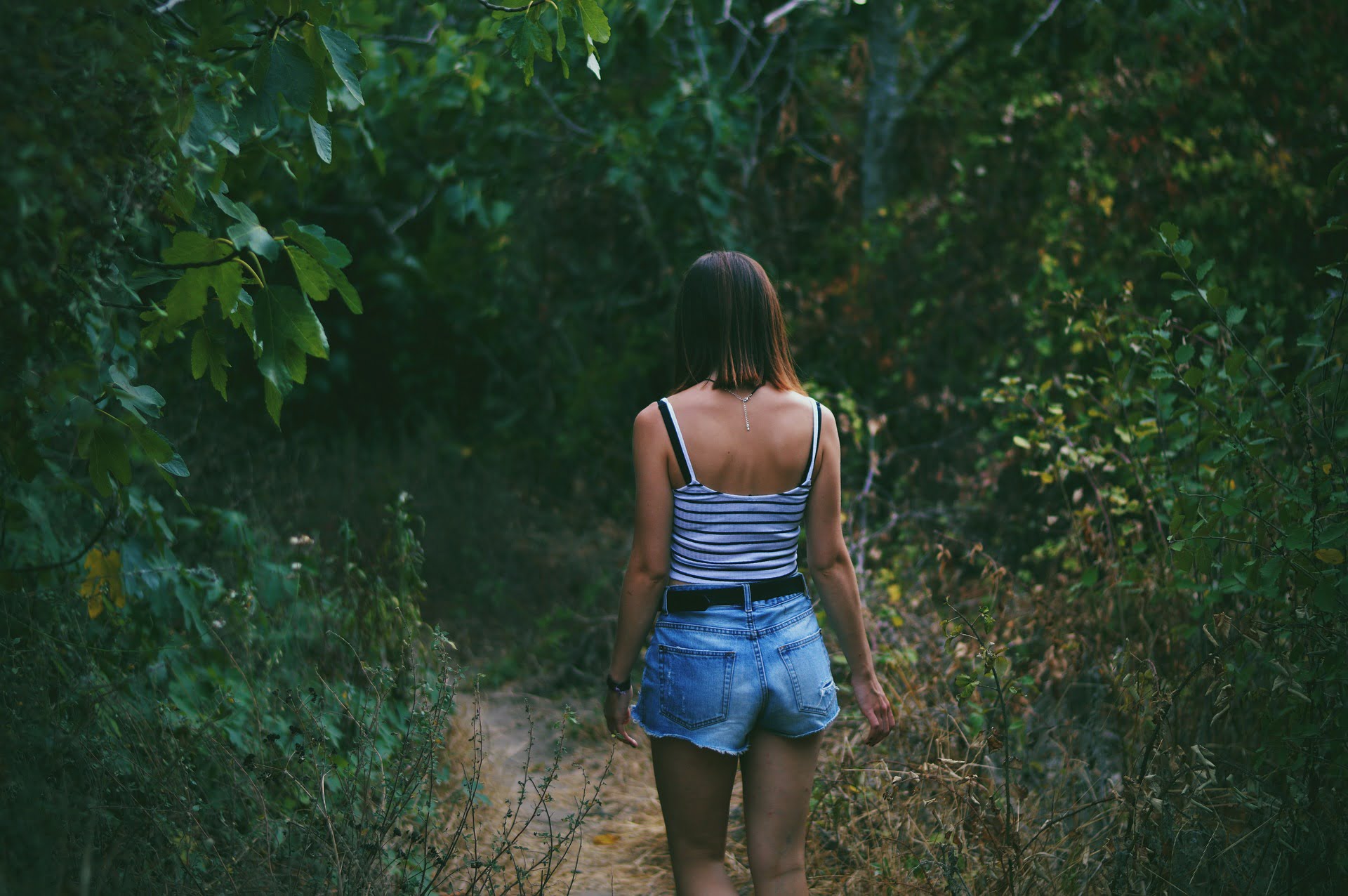 Voyeur en foret malgré lui il mate par hasard les ébats dun couple photo